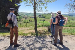 Country walk between Certaldo and San Gimignano
