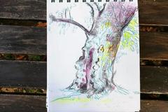drawing of a tree trunk