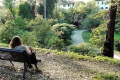 student who draws at the botanical garden of Lucca