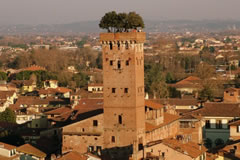 Guinigi Turm